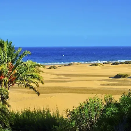 The Canteras Appartement *